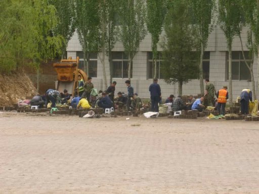 �Ӷ���Ŀ�������ڼ��������������